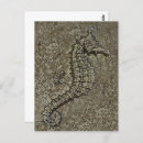 Suche nach wasserleben postkarten Tier