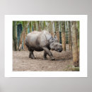 Suche nach rhino poster Tierwelt