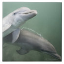 Suche nach delphine fliesen Schwimmen