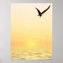 Suche nach flying eagle poster Natur