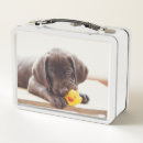 Suche nach schokolade brotdosen Hund