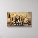 Suche nach animals leinwandbilder Elefant