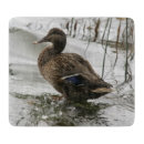 Suche nach ente schneidebrettchen Vogelvogel