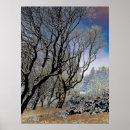 Suche nach acryl poster Winter