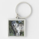 Suche nach in yellowstone accessoires Tier