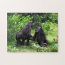 Suche nach gorillas puzzle Affe