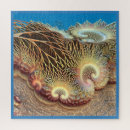 Suche nach coral reef puzzle Jede person