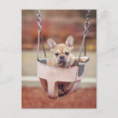 Suche nach cute animals postkarten Puppy