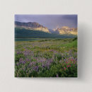 Suche nach gletscher buttons Eis