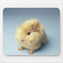 Suche nach meerschweinchen mousepads Natur
