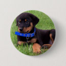 Suche nach rottweiler hund buttons Hunde