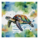 Suche nach schildkröten poster Ozeane