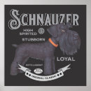 Suche nach schnauzer poster Miniatur