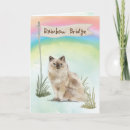 Suche nach katzen beileidskarten Weiß