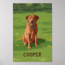 Suche nach labrador retriever poster Tiere
