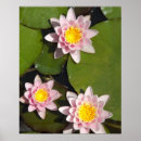 Suche nach gruppe kunst Blume