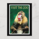 Suche nach primates postkarten Tiere