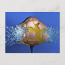 Suche nach anschläge postkarten Anschlag