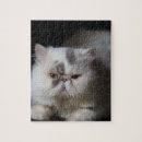 Suche nach weiße katze puzzle Für sie