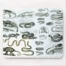 Suche nach vip mousepads Reptil