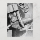 Suche nach spuren postkarten Cowboy