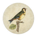 Suche nach hintergrund schneidebrettchen Vogel