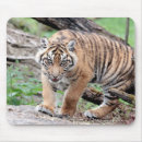 Suche nach katze im schnee mousepads Niedlich