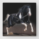 Suche nach horses Western