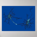 Suche nach neurologie poster Neurotransmitter