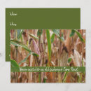 Suche nach kornfeld Für alle