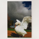 Suche nach schwan puzzle Vögel