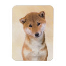 Suche nach shiba inu magnete Welpe