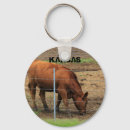 Suche nach angus kühe Jede person