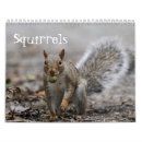 Suche nach eichhörnchen kalender Natur