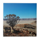 Suche nach wüsten fliesen Namibia