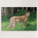 Suche nach gepard puzzle Katze