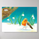 Suche nach schneefallen poster Vögel