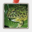 Suche nach south america ornamente Amphibisch