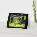 Suche nach dobermann pinscher karten Haustier