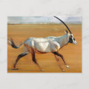Suche nach oryx postkarten Hörner