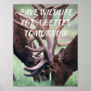 Suche nach morgens… poster Natur