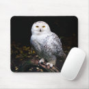 Suche nach weiße eule mousepads Vogel