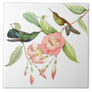 Suche nach hummingbird fliesen Tiere