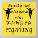 Suche nach kung fu poster Lustige