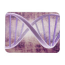 Suche nach dna magnete Biologie