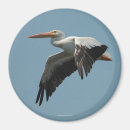 Suche nach pelikan magnete Vogel