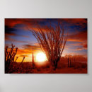 Suche nach sonora poster Natur