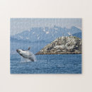 Suche nach buckelwal puzzle Ozeane