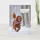 Suche nach irischer setter karten Hund