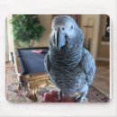 Suche nach afrikanischer vogel mousepads Papagei